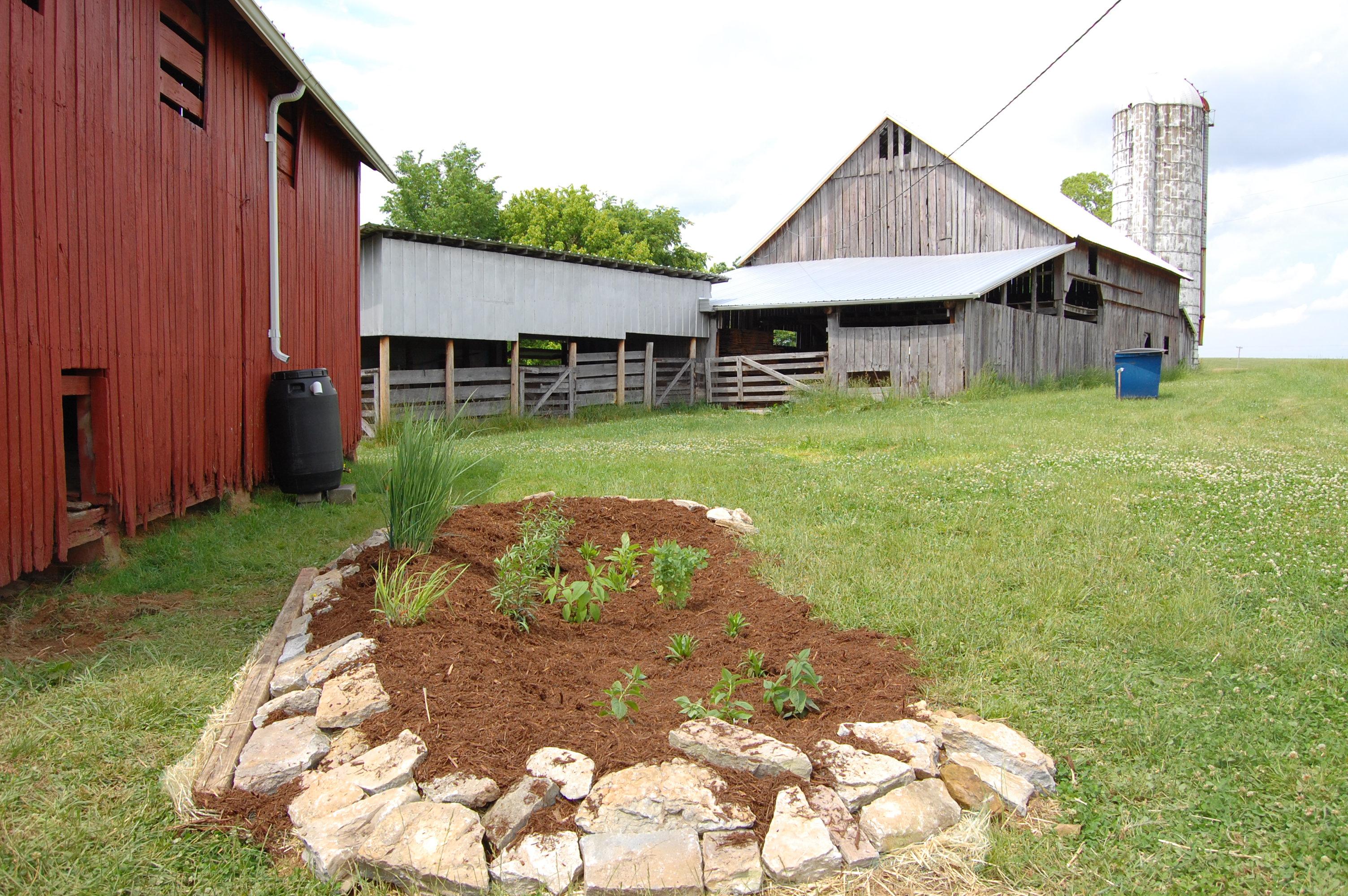 Combined Rain Garden and Rain Barrel BMP